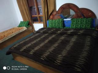 Home 2 homes - Srinagar - 3