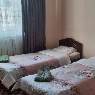 SAM GREEN HOUSE Hostel - 1