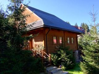 Apartament Nad Potokiem - Wisła - 8