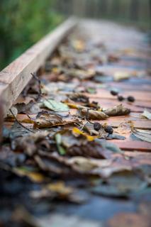 Frederiksværk Hotel - 1