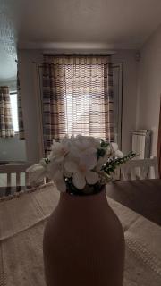 Vespucci Holiday - 1