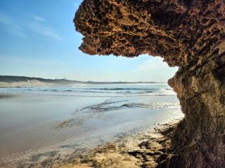 Aloe Breeze Cove Rock - East London - 1