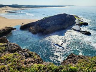 Aloe Breeze Cove Rock - 7