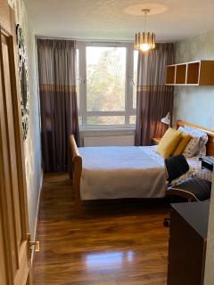Entire flat, comfortable 2 double bedrooms - 6