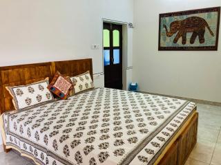Hotel tulsi palace - Pushkar - 3