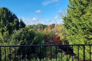 Entire Spacious 4 Bedroom Zen House with Garden View - 0