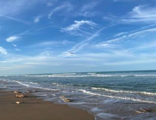365 Cinnamon Beach - Palm Coast - 1