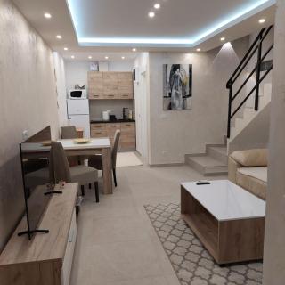 Apartman LUX Jelena - Surčin - 6
