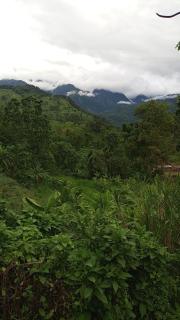 Lafrique guesthouse - Fort Portal - 1