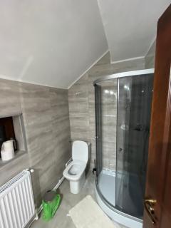 Pensiunea Sarah - Muntele Mic - 2