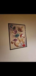 Ap Central Traian Moșoiu 2 Parcare proprie - Cluj-Napoca - 7