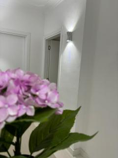 Center, Selvia White Apartment - 3