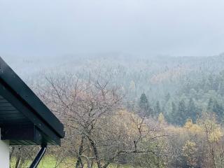 Zacisze na Podzamczu - Odrzykoń - 6