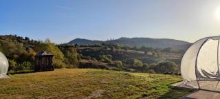 Garden Village Retreat - 5
