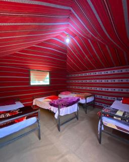 stars magic camp - 6