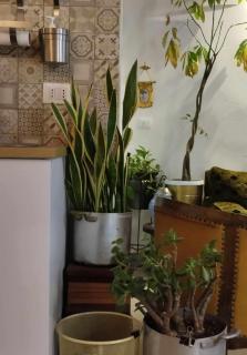 piccolo loft in centro storico - Palermo - 9