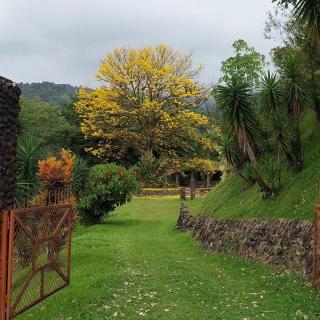 Pura Vista Glamping - El Castillo de La Fortuna - 8