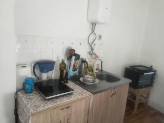 Cozy family hotel add meals - Subotica - 6