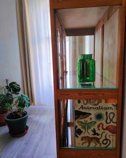 Wieża Gniezno Apartament KRÓLOWA - Gniezno - 6