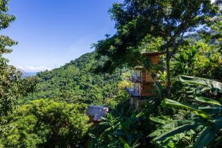 Paraiso Ahimsa - Buritaca - 2
