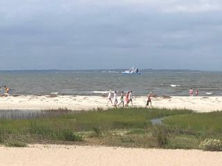 Peaceful Treetop Condo - 2br/2ba - 3