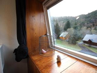 T2bis confortable au pied des pistes - 6 pers, parking, local à skis, animaux acceptés - FR-1-415-149 - Mont-Dore - 2