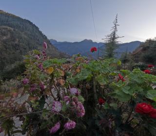 The VOID - Tirthan Valley - 5
