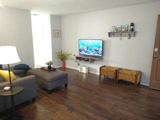 Charming 1Bedroom Vacation Condo - Oceanside - 7