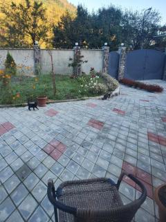 DIOSKURIA BORJOMi - 1