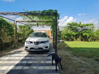 Jolshiri Vacation House - Daca - 3