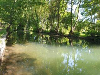 Studio Renard quartier marais, terrasse en rez de jardin, matelas confort - Bourges - 1