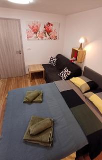 Apartmaji STARS - Mavčiče - 8