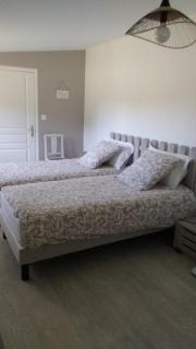 Chambre d hotes la Barrière - Channay-sur-Lathan - 2