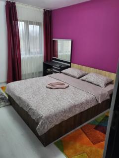 Casa de inchiriat in Vaslui - Vaslui - 5
