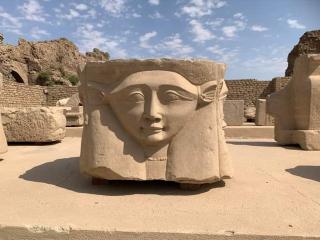 Rose travel_trips - Jazīrat al ‘Awwāmīyah - 6