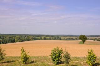 chez jojo - Vieux-Mareuil - 6