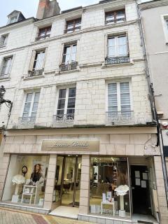 Magnifique logement au pied du Château - Blois - 8