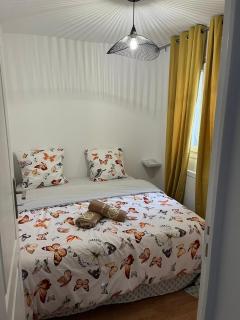 DUPLEX REFAIT NEUF à MONCHAUX SORENG - 2