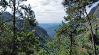 Dream view - Ella - 7