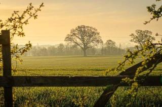 Military Shepherd Hut - Haxey - 6