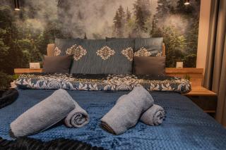 INES - Apartament Zakopiański - Jacuzzi & Sauna & Siłownia & Plac Zabaw - 1