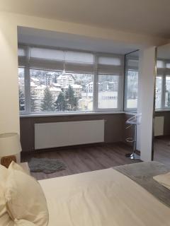 Winter dream home - Braşov - 2