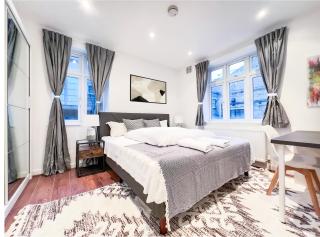 Prime Location Camden Luxury Apt Sleeps 6 - Londra - 9