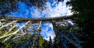 Landhauswohnung am Thüringer Meer - Fühlen wie Zuhause - 9