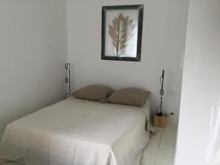Maison contemporaine avec jardin près de la plage - La Baule - 2