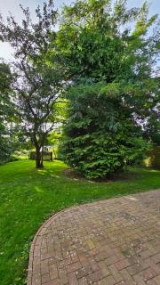 Usedom Suites Zinnowitz - 5