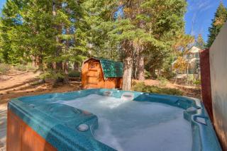 Cozy Wood Cabin- Updated- Hot Tub- Fireplace- Backs to Forest - Carnelian Bay - 9