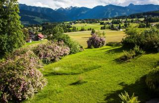 Landhaus Lamm - Ramsau am Dachstein - 3