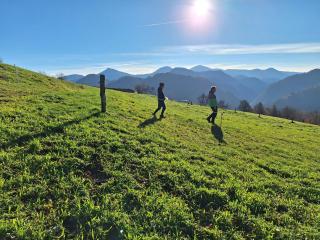 Miklavževa hiša with a bread oven - 7