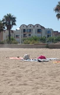 Appartement vue mer, plage à 20m - Gruissan - 7